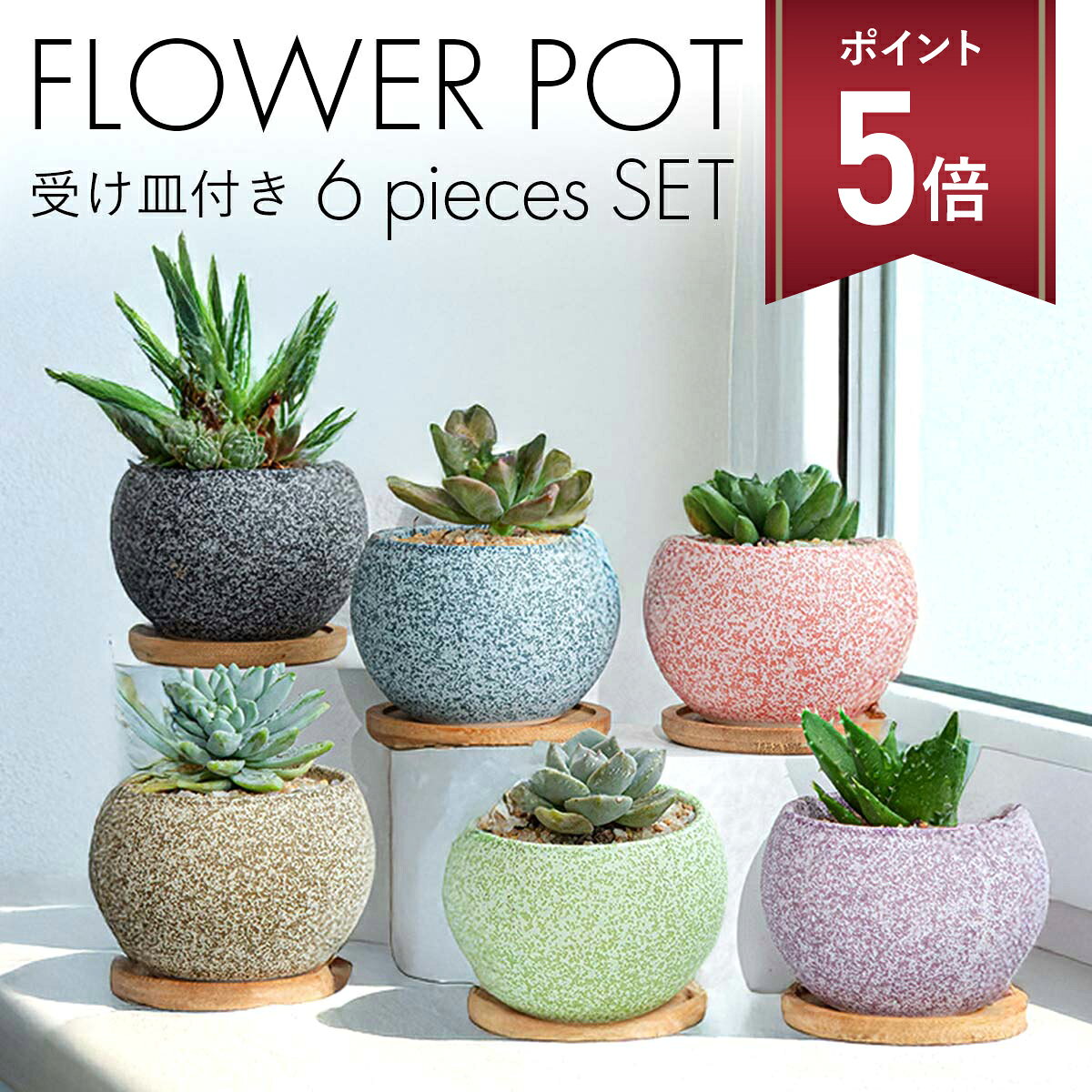 楽天市場】多肉植物 寄せ植え 鉢（植木鉢・プランター｜ガーデニング