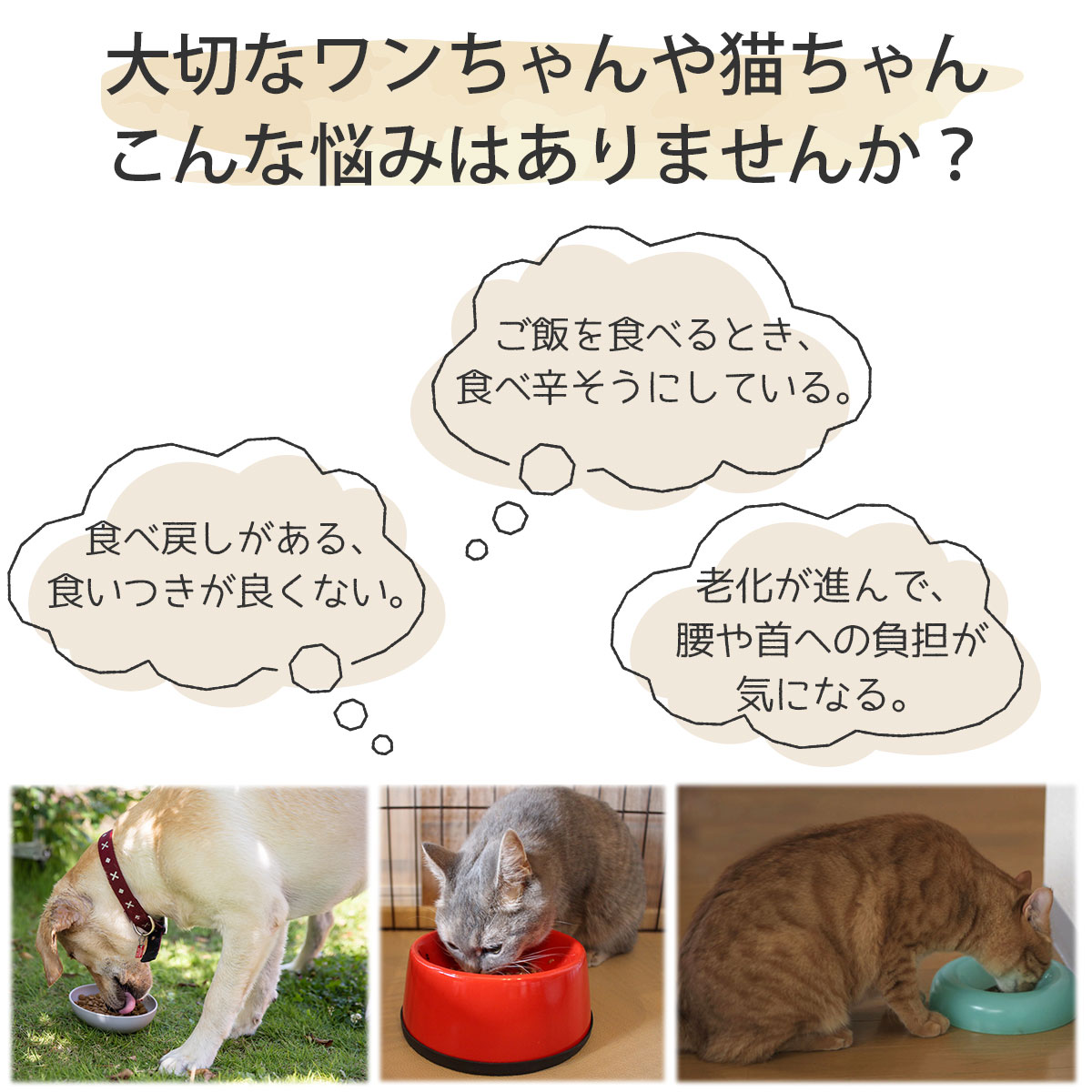 【フードボウルセット】犬 食器 陶器 スタンド 猫 犬用 食器台 いぬ 食事 フード ボウル セット スタンド付き 食べやすい 傾き 傾斜 餌入れ 猫用 水入れ ペット ねこ 老犬 老猫 皿 ペット用 餌入れ エサ入れ 水入れ 器【全国送料無料・あす楽即納】