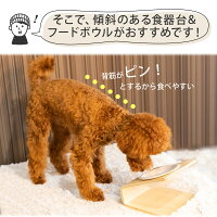 犬食器陶器犬用食器台いぬ食事フードボウル猫餌入れ猫用水入れペットねこ皿ペット用器