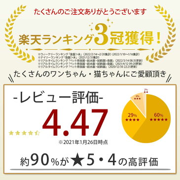 【フードボウルセット】犬 食器 陶器 スタンド 犬用 食器台 いぬ 食事 フード ボウル セット 猫 食べやすい 餌入れ 猫用 水入れ ペット ねこ 老犬 老猫 皿 ペット用 器