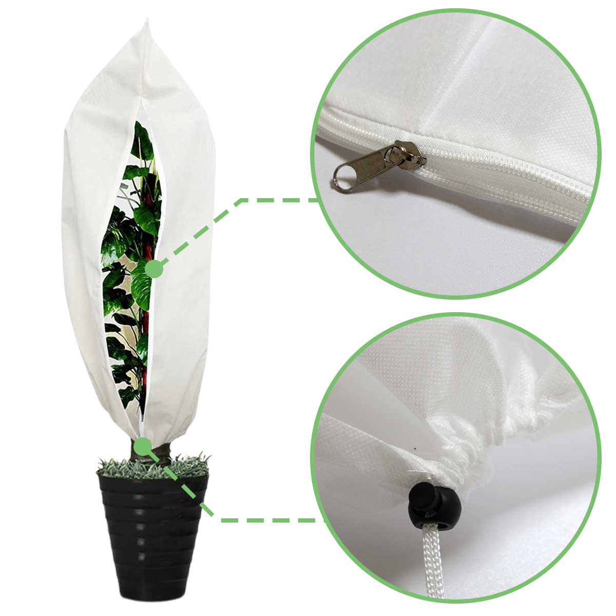 �ڥ����ѡ���������� P+5�ܡۡ�2�祻�åȡۿ�ʪ ���С� �ץ�󥿡� ��ñ �ݸ� ���� �к� ������� ���տ�ʪ �ͥå� �����ɥ��åѡ��դ�