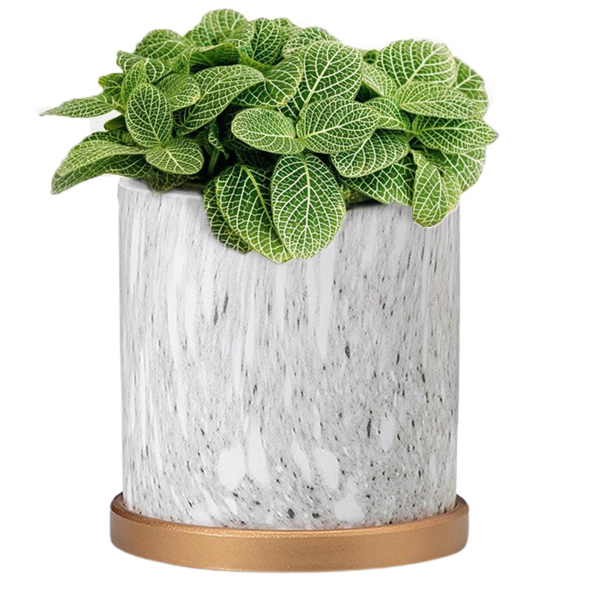 楽天市場】植木鉢 大型 陶器（カラーホワイト）（植木鉢・プランター