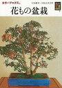 【バーゲンブック】花もの盆栽−カラーブックス362【中古】