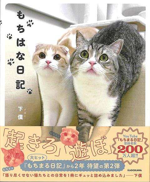 【バーゲンブック】もちはな日記【中古】