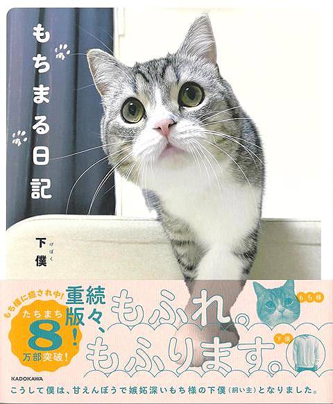 【バーゲンブック】もちまる日記【中古】