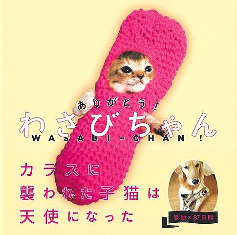 【バーゲンブック】ありがとう！わさびちゃん【中古】