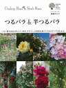 【バーゲンブック】つるバラ&半つるバラ【中古】