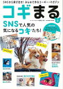 【バーゲンブック】コギまる Vol.3【中古】