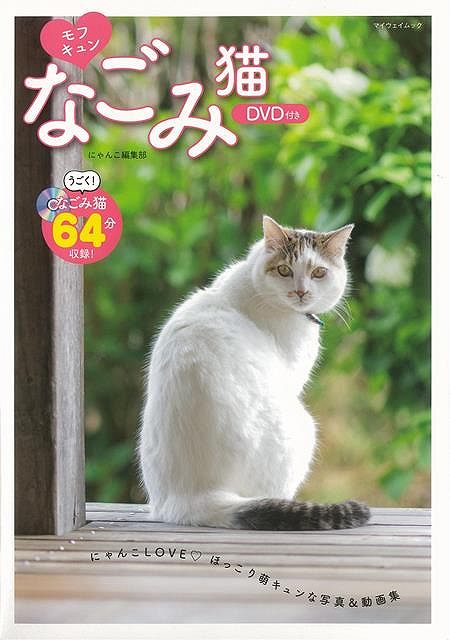 【バーゲンブック】モフキュンなごみ猫　DVD付き【中古】