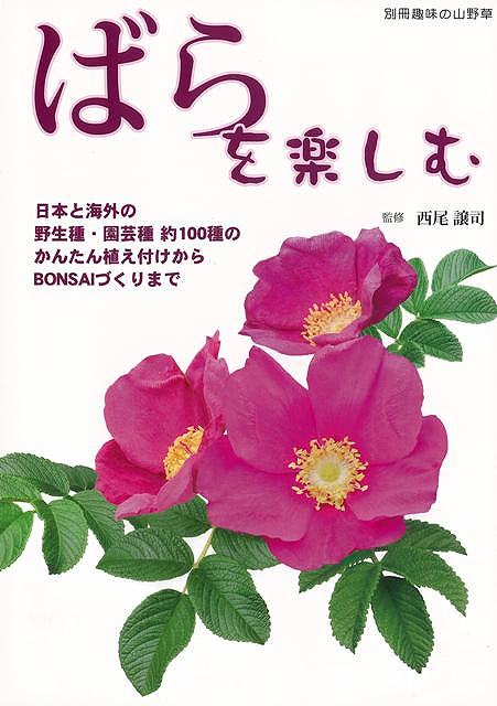 【必ずお読み下さい。】★バーゲンブックです。★併売を行なっている関係で、一時的に在庫切れの場合があります。その場合には早急に仕入を行い、対応結果をメールにてご連絡致します。★非再版本として出庫したもので、本の地の部分に朱赤で（B）の捺印、罫線引き、シール貼りなどがされています。一般的なリサイクルブック（古本・新古本）ではありません。人にまだ読まれていない、きれいな新本です。但し、商品の性格上、カバー表紙などに若干の汚損などがある場合もございますので、その点はご了承ください。