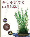 【バーゲンブック】楽しみ育てる山野草−藤友正子の山野草と寄せ植えづくり【中古】