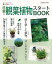 【バーゲンブック】日本の観葉植物スタートBOOK【中古】