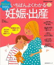 【バーゲンブック】いちばんよくわかる妊娠・出産【中古】
