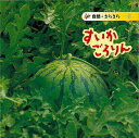 【バーゲンブック】すいかごろりん−自然・きらきら9【中古】