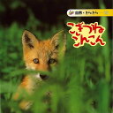 【バーゲンブック】こぎつねこんこん−自然・きらきら13【中古】