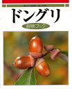 【バーゲンブック】ドングリ観察ブック【中古】