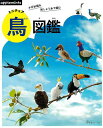 【バーゲンブック】ミニチュア鳥図鑑−かぎ針編み刺しゅう糸で編む【中古】