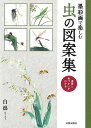 【バーゲンブック】墨彩画で楽しむ虫の図案集-運筆と色づかいがわかる【中古】