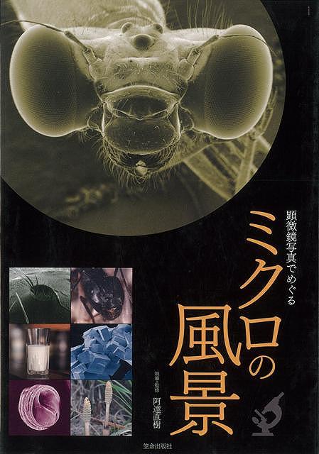 【バーゲンブック】顕微鏡写真でめぐるミクロの風景【中古】