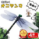 \★P10倍★/【衝撃SALE】「激安1点225円!4点購入で」 \4個でこの価格!/オニヤンマ 虫除け 14cm おにやんま フィギュア ゴルフ リアル トンボ 虫よけ 虫対策 安全ピン付き 釣り 山登り キャップ 屋外作業 虫よけ模型 昆虫 スズメバチ 害虫 ブローチ おにやんまくん