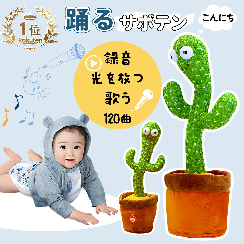 【LINE追加で5％OFF】【TikTokの人気商