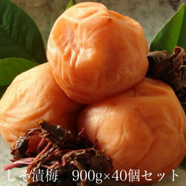 しそ漬梅900g × 40個セット 【和歌山県産】 【10P03Aug09】