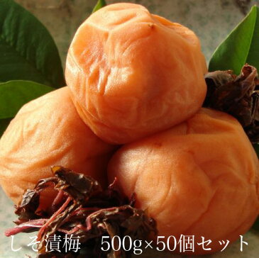 しそ漬梅500g　×　50個セット　【和歌山県産】 【10P03Aug09】