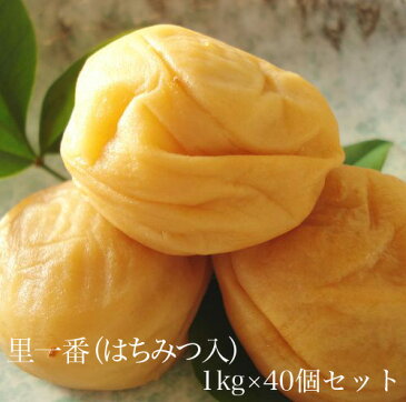 里一番(はちみつ入)1kg × 40個セット 【和歌山県産】 【10P03Aug09】