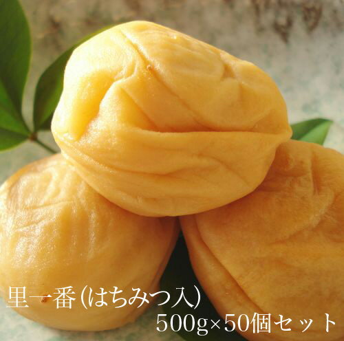 里一番（はちみつ入）500g　×　50個セット　【和歌山県産】 【10P03Aug09】