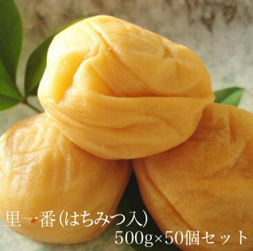 里一番（はちみつ入）500g　×　50個セット　【和歌山県産】 【10P03Aug09】