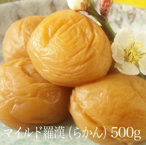 【マイルド】羅漢（らかん）500g　【和歌山県産】 1