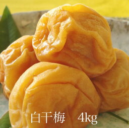 白干梅4kg　【和歌山県産】