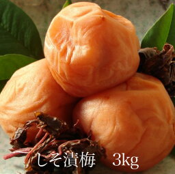 しそ漬梅3kg　【和歌山県産】