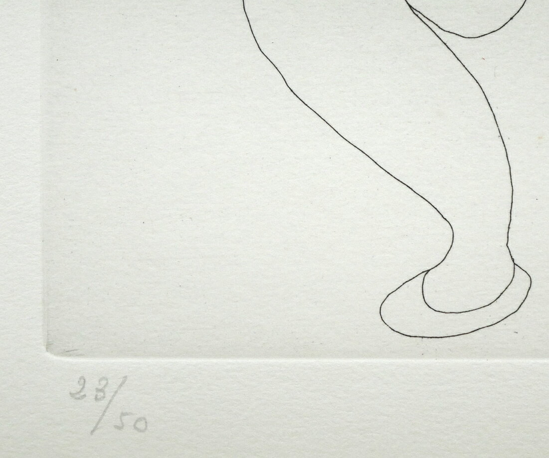 �ѥ֥����ԥ�����Pablo��PICASSO�ˡ�156���꡼����No.43�ץ��å��󥰡�Ƽ�ǲ�ˡ�20������ɽ��ȡ��������ѡ������ݾ�