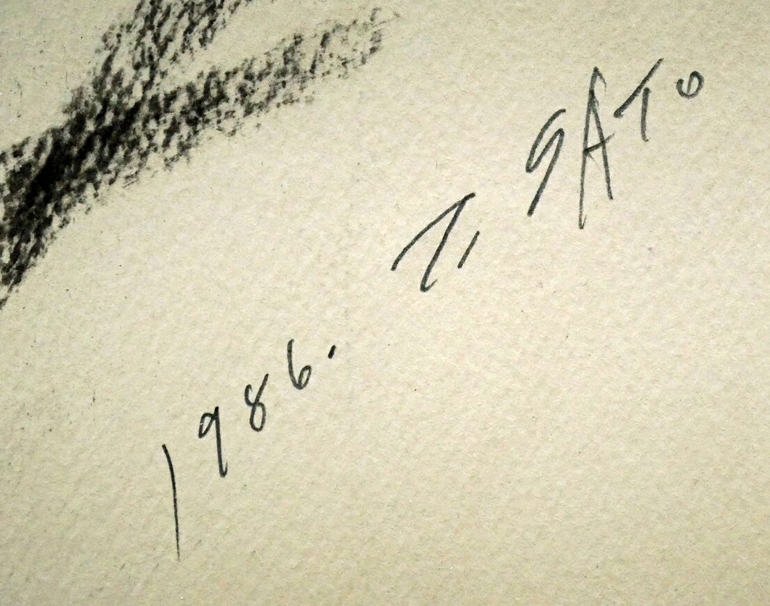 ��ƣ����ͺ�ֲ֤Υޥϡץѥ��ƥ�衦20�桡ɴ��Ź��Ÿ¿��������γ��Ǥ���������ء�����ꥢ�ꥺ�ࡡ�������ѡ������ݾ�