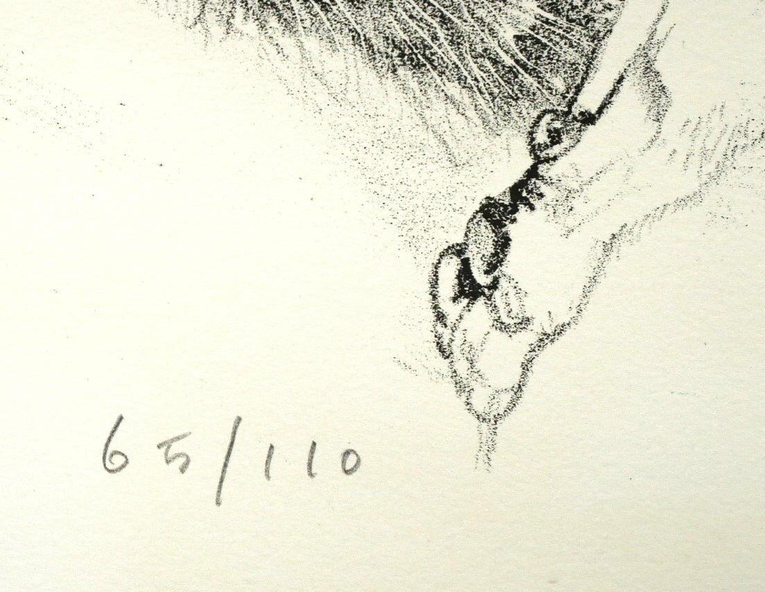 ƣ�ġ��̼�����ɤ��ǭ�ץ�ȥ���ա�����ľɮ����������1958ǯ������׿ͥ��쥯����󡡥ѥ�˺ǤⰦ���줿���������ѡ������ݾ�