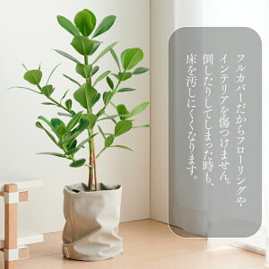 楽天市場 観葉植物 大きい 大型 ルーズカバーセット 鉢 おしゃれ お祝い 土 棚 愛知クルシアロゼア5号 Loose Cover たまごリーフ おしゃれ お祝い インテリア 北欧 インテリア 開店祝 新築祝 引っ越し祝 かわいい コテラ Koteraグリーンとインテリアのお店 楽天市場 観葉植物 大きい 大型 ルーズカバーセット 鉢 おしゃれ お祝い 土 棚 愛知クルシアロゼア5号 Loose Cover たまごリーフ おしゃれ お祝い インテリア 北欧 インテリア 開店祝 新築祝 引っ越し祝 かわいい コテラ Koteraグリーンとインテリアのお店