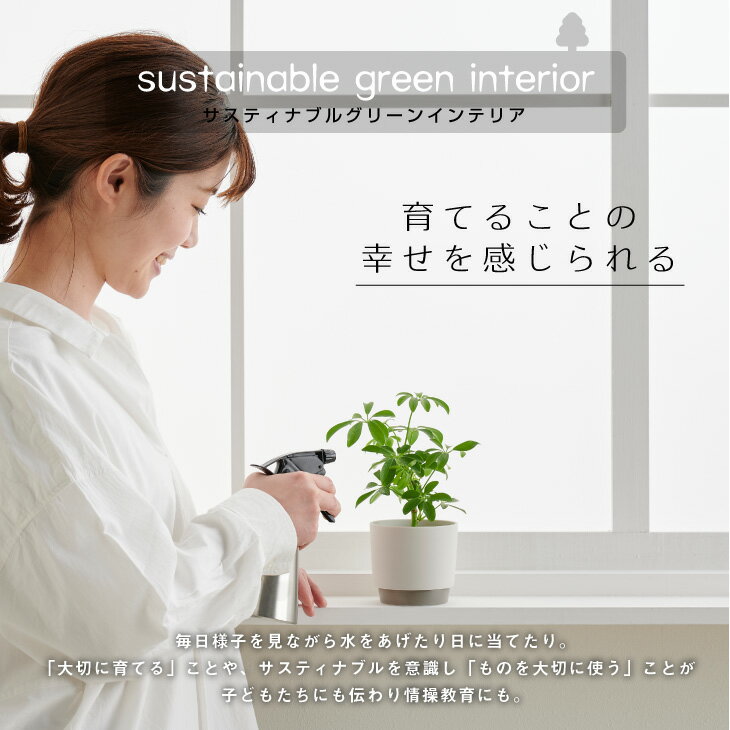 楽天市場 観葉植物 小さい 鉢 おしゃれ お祝い Ground パキラ ウンベラータ ミニ モンステラ セット 小さい 棚 ハイドロカルチャー サンスベリア 引っ越し祝 新築祝 北欧 ミニ観葉植物 ポトス ガジュマル コテラ こてら 6cm Koteraグリーンとインテリアのお店 楽天市場 観葉植物 小さい 鉢 おしゃれ お祝い Ground パキラ ウンベラータ ミニ モンステラ セット 小さい 棚 ハイドロカルチャー サンスベリア 引っ越し祝 新築祝 北欧 ミニ観葉植物 ポトス ガジュマル コテラ こてら 6cm Koteraグリーンとインテリアのお店