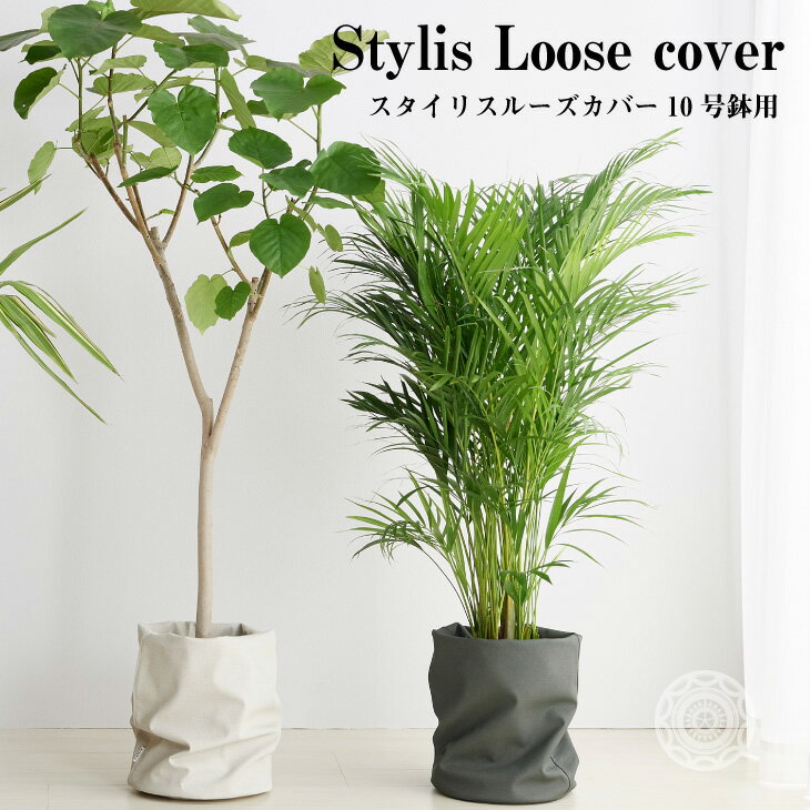 タキコウ縫製『Style Loose cover』