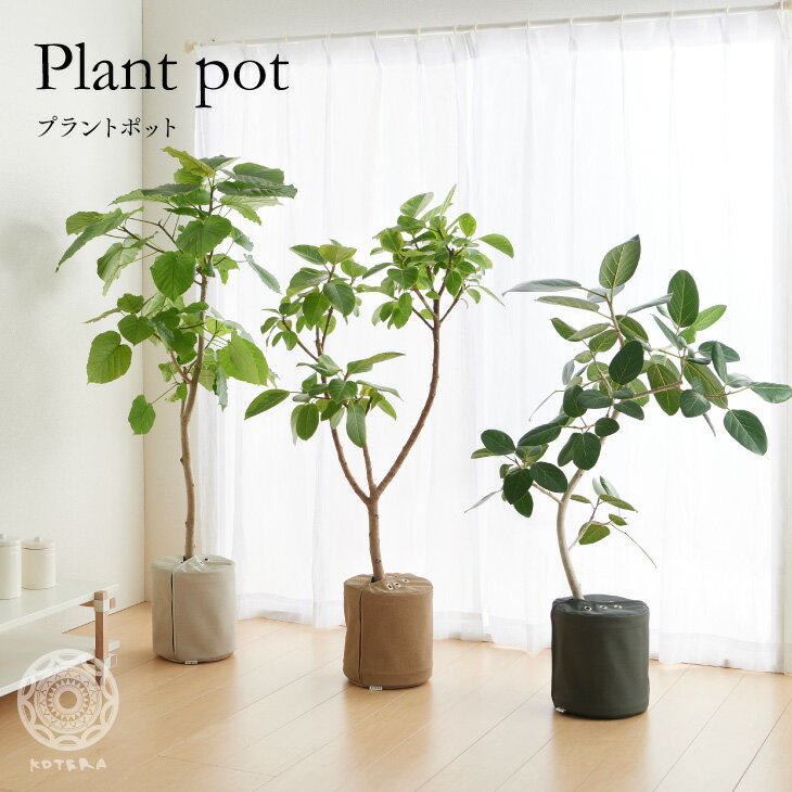 鉢カバー おしゃれ お祝い 大型 8号 北欧 レザー 観葉植物 棚 プラントポット Plantpot 布 スタンド インテリア ナチュラル シンプル 国産合皮レザー 汚れ 犬 ネコ 安心 日本製 鉢カバー コテラ こてらのレビュー クチコミとして参考になる投稿3枚