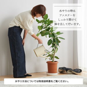 楽天市場 プラントポット Plantpot 鉢 カバー おしゃれ 7号 8号 観葉植物 大型 北欧 布 スタンド インテリア ナチュラル シンプル 国産合皮レザー 汚れ 犬 ネコ 安心 日本製 鉢カバー コテラ こてら 母の日 Koteraグリーンとインテリアのお店 楽天市場 プラントポット Plantpot 鉢 カバー おしゃれ 7号 8号 観葉植物 大型 北欧 布 スタンド インテリア ナチュラル シンプル 国産合皮レザー 汚れ 犬 ネコ 安心 日本製 鉢カバー コテラ こてら 母の日 Koteraグリーンとインテリアのお店