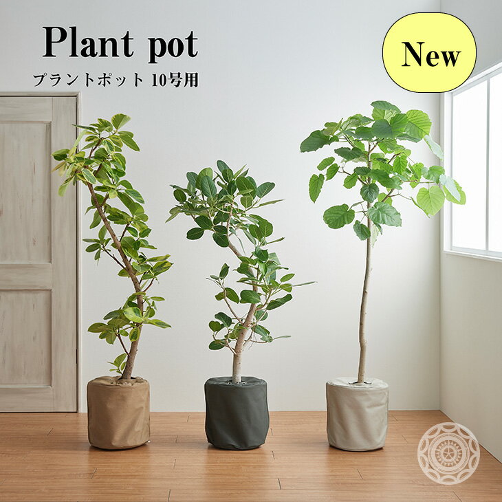 鉢カバー おしゃれ お祝い 大型 10号 北欧 レザー 観葉植物 棚 プラントポット Plantpot 布 スタンド インテリア ナチュラル シンプル 国産合皮レザー 汚れ 犬 ネコ 安心 日本製 鉢カバー コテラ こてらのレビュー クチコミとして参考になる投稿8枚