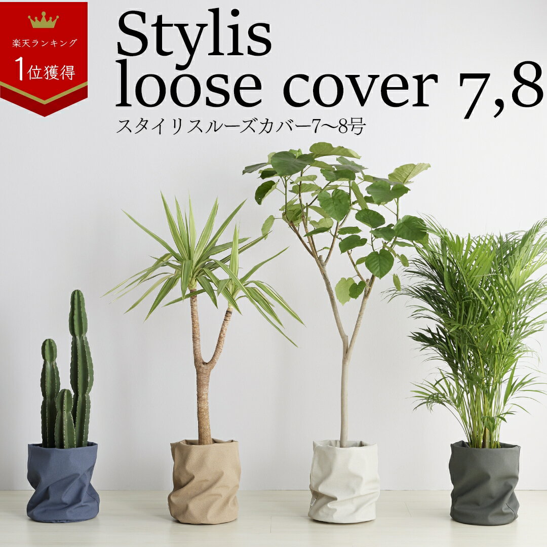  Si5%off5/20 Jo[ Aؔ y  j ^ 8 7 k U[ ϗtA I [YJo[ loose cover z X^h CeA i` Vv Y烌U[   lR S { Jo[ Aؔ y Re Ă