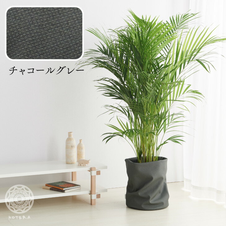 楽天市場 鉢カバー おしゃれ お祝い 大型 8号 7号 北欧 レザー 観葉植物 棚 ルーズカバー Loose Cover 布 スタンド インテリア ナチュラル シンプル 国産合皮レザー 汚れ 犬 ネコ 安心 日本製 鉢カバー コテラ こてら Koteraグリーンとインテリアのお店