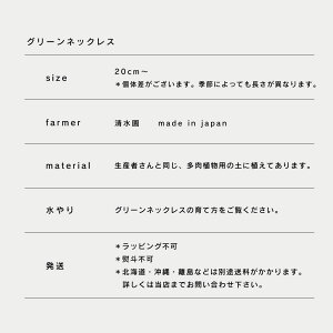 楽天市場 観葉植物 小さい 吊り下げ 鉢 おしゃれ 棚 グリーンネックレス Isola 2点セット ハンギングプランター ミニ セット 土 小さい 北欧 インテリア 多肉植物 開店祝 新築祝 引っ越し祝 コテラ Koteraグリーンとインテリアのお店 楽天市場 観葉植物 小さい 吊り下げ 鉢 おしゃれ 棚 グリーンネックレス Isola 2点セット ハンギングプランター ミニ セット 土 小さい 北欧 インテリア 多肉植物 開店祝 新築祝 引っ越し祝 コテラ Koteraグリーンとインテリアのお店