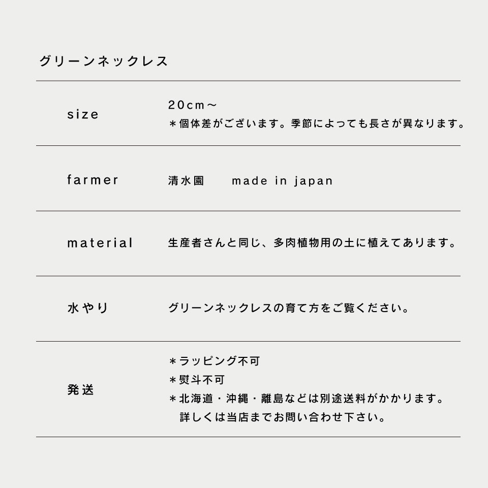 楽天市場 観葉植物 小さい 吊り下げ 鉢 おしゃれ お祝い Isola グリーンネックレス ハンギングプランター ミニ セット 土 小さい 北欧 インテリア 開店祝 新築祝 引っ越し祝 多肉植物 壁掛け ミニ観葉植物 コテラ Koteraグリーンとインテリアのお店
