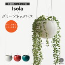 【全品5 off★4/25 23:59まで】観葉植物 インテリア 多肉植物 吊るす 小さい 卓上 吊り下げ 鉢 おしゃれ お祝い 【ISOLA】グリーンネックレス ハンギングプランター ミニ セット 土 小さい 卓上 北欧 開店祝 新築祝 引っ越し祝 壁掛け ミニ コテラ