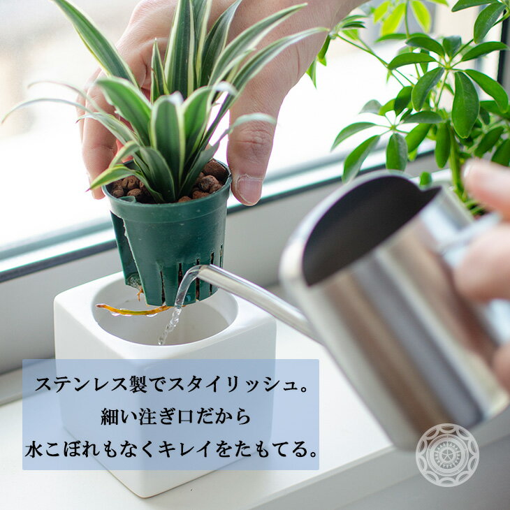 SALUS �ޥ�� ���硼�� L 600ml ���礦�� ���硼�� ������� ���ˤ� ���襤�� ���� ��ޤ� �廵�� ���� ���տ�ʪ �ٸ� ���硼��