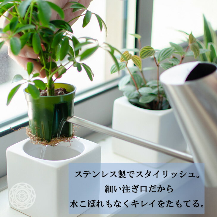 Salus ドームジョーロ Lサイズ じょうろ ジョーロ おしゃれ お祝い 水撒き 観葉植物 細口ジョーロ かわいい 水まき 無料 水やり 散水