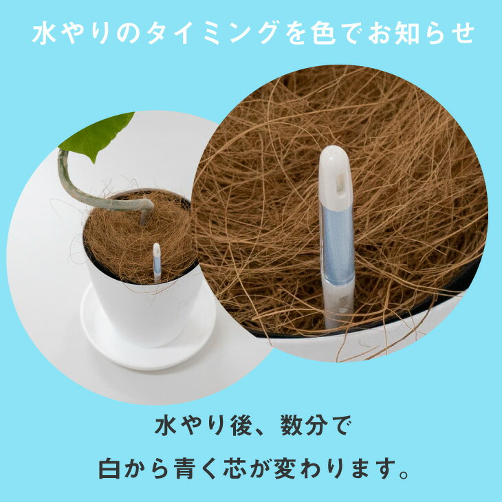 �����ƥ��� L